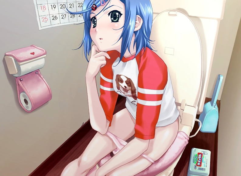 洋式トイレ オシッコ ウンチ 二次元 エロ画像【37】