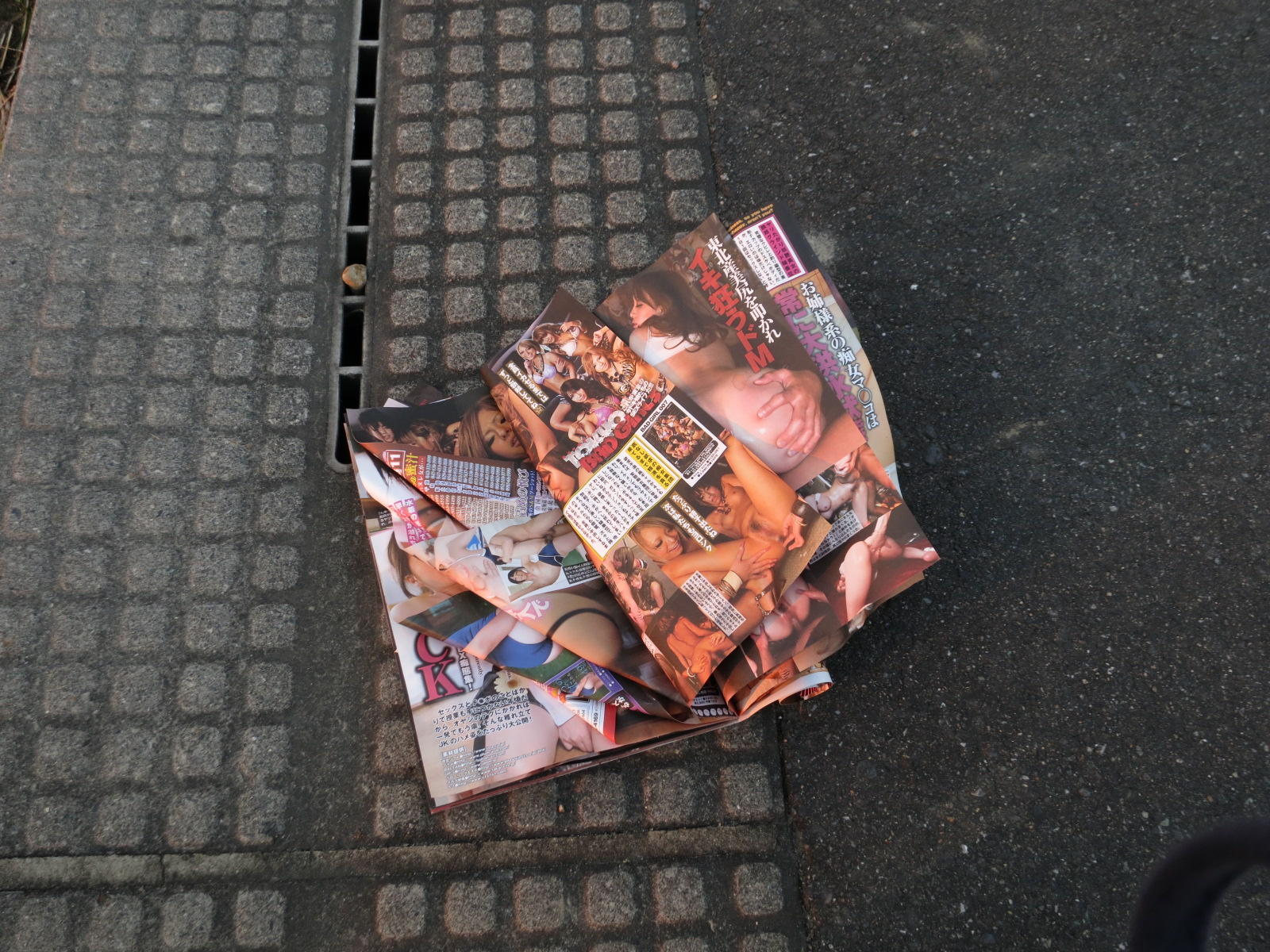 使用済のエロ本が路上や草むらにポイ捨てされてる画像集