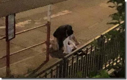 海外の野外セックス！発情したら即挿入な外国人のエロ画像 ②