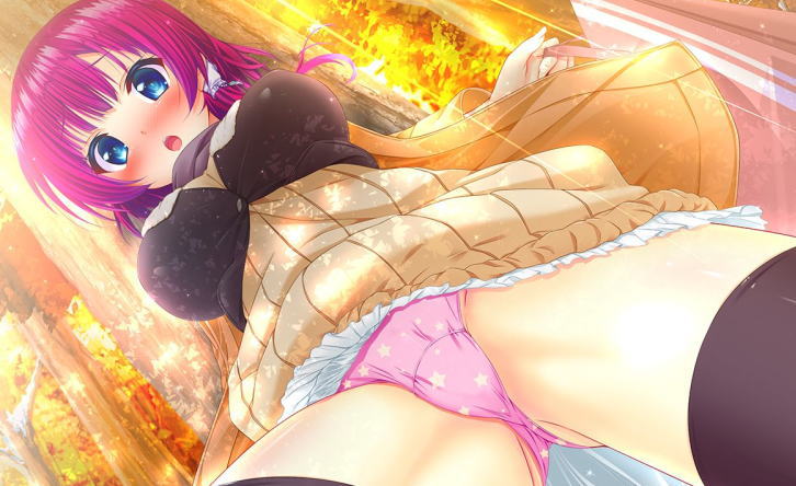 【二次・ZIP】ローアングル視点の２次美少女画像ください
