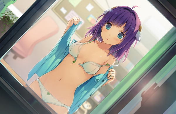 【二次・ZIP】衣服脱ぎかけの女の子のエッチな画像ください！