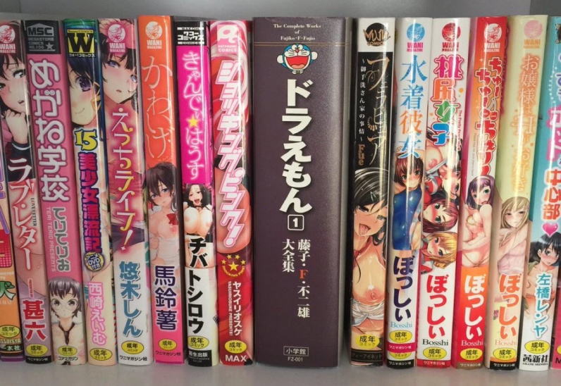 エロ本は部屋に隠すよりも堂々と本棚に入れた方がばれない（画像あり）