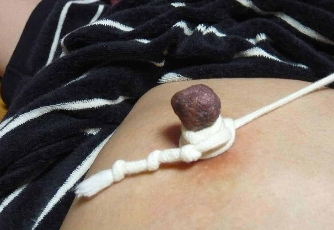 乳首を強制勃起させる乳頭縛りのエロ画像