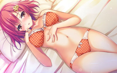 下着萌えする可愛いランジェリーの二次元エロ画像 ②