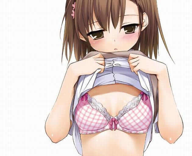 ブラジャー 赤面 たくし上げ 二次元 エロ画像【13】