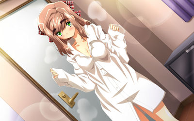 まゆ毛が太い太眉キャラの二次元エロ画像 ④