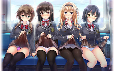 電車通学するJKがパンチラパンモロしてる二次元エロ画像 ②