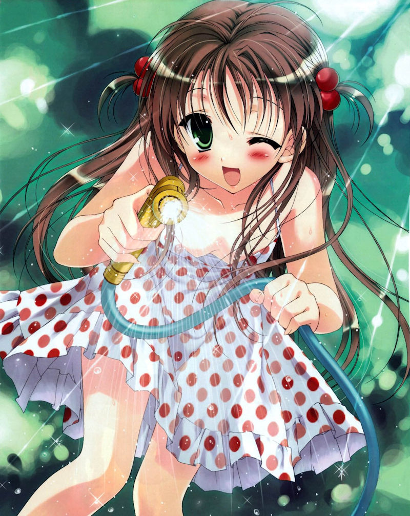 ワンピース 胸チラ パンチラ 二次元 エロ画像【26】