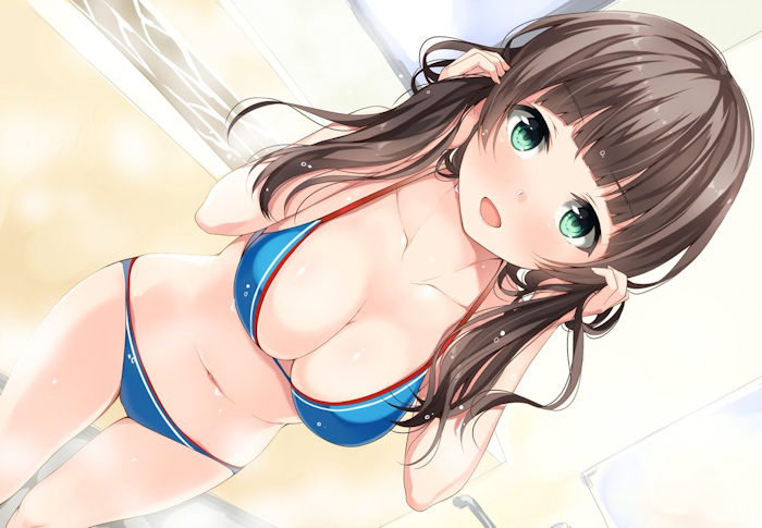集め続けた二次画像を淡々と貼って行く