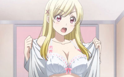 ブラジャー重視な二次元ブラフェチエロ画像 ①