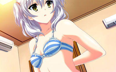 ブラジャー重視な二次元ブラフェチエロ画像 ②