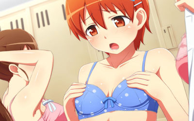 ブラジャー重視な二次元ブラフェチエロ画像 ④