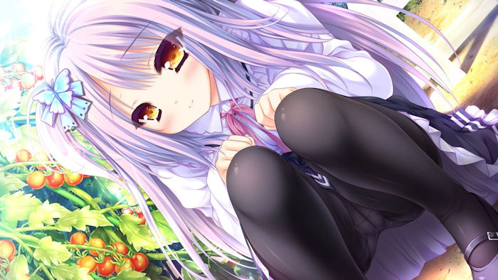 【二次・ZIP】艶かしい光沢が堪らんパンスト・タイツ娘の画像