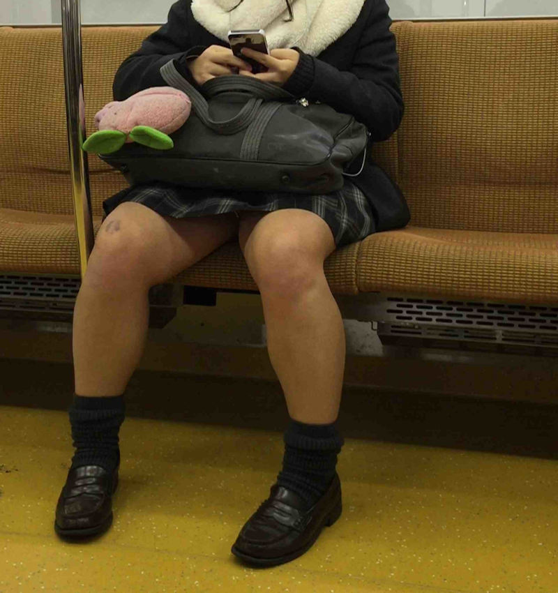 電車内 パンチラ ギャル JK エロ画像【56】