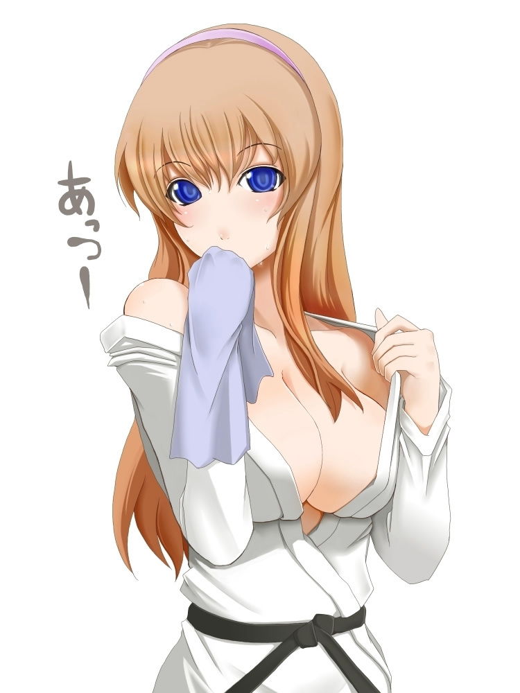 柔道着 はだける ポロリ 柔道 二次元 エロ画像【7】