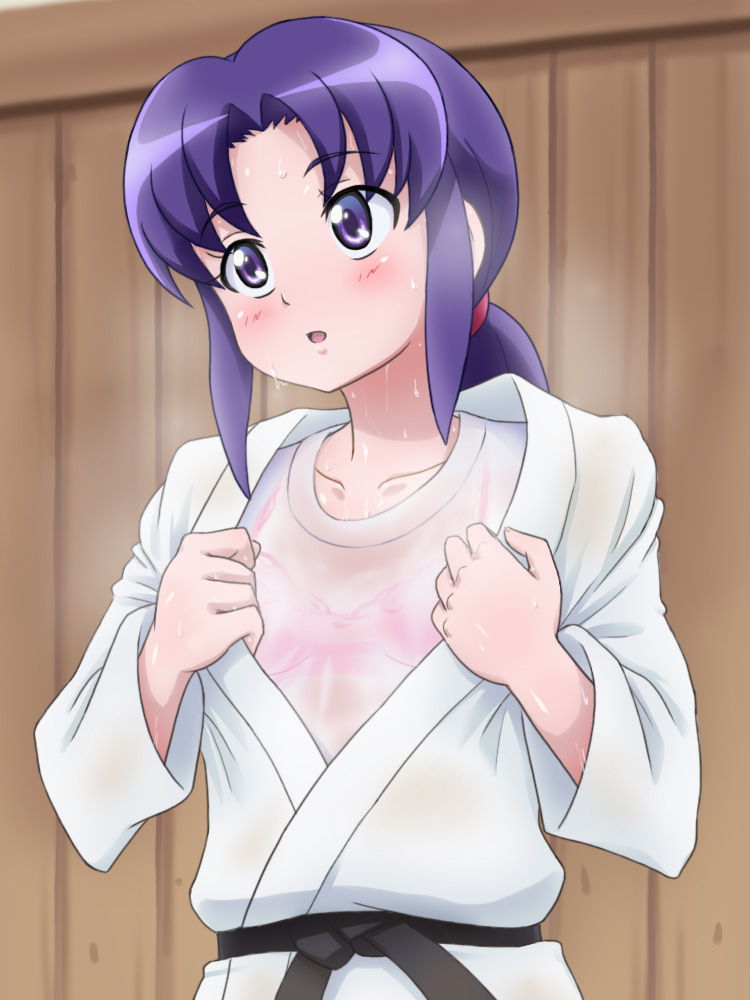 柔道着 はだける ポロリ 柔道 二次元 エロ画像【20】