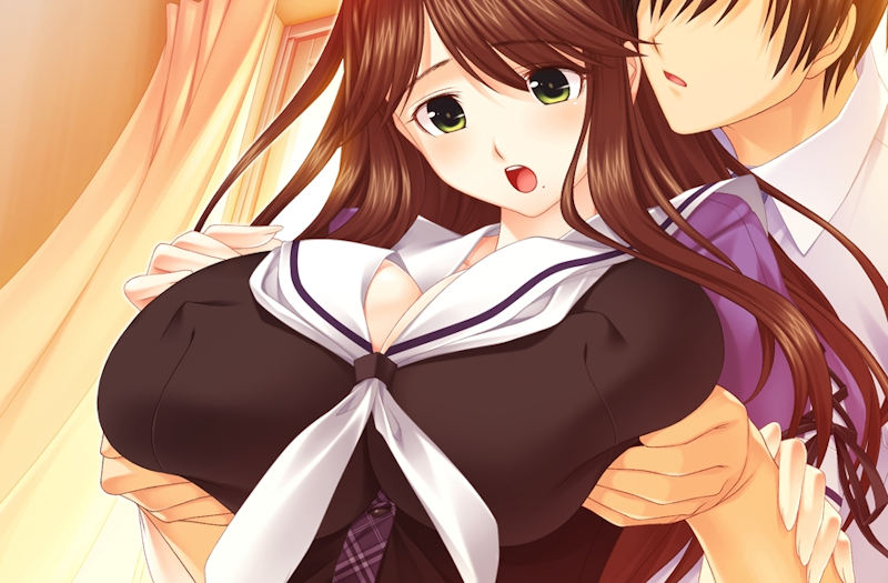 後ろから おっぱい 揉む 二次元 エロ画像【66】