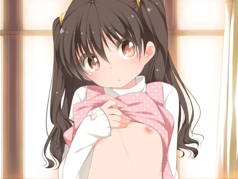 服をたくし上げて片乳ポロリな二次元エロ画像