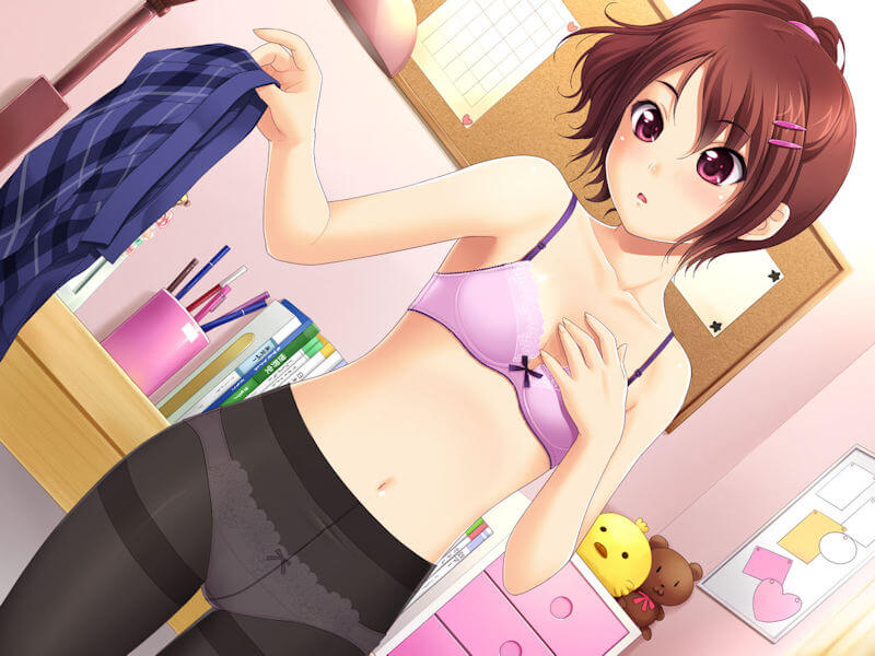 カップが小さい貧乳ブラジャーの二次エロ画像