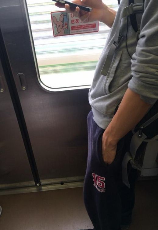 電車内立ちもっこりのエロ画像 【34】