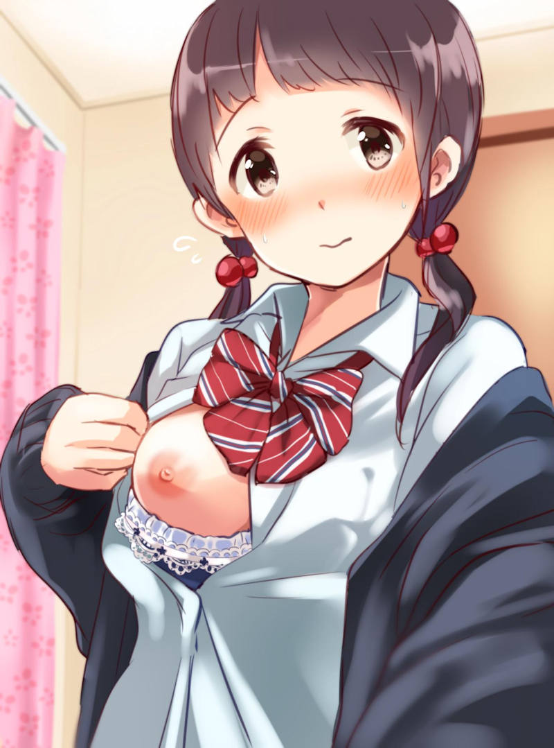 おっぱい 片乳 二次元エロ画像 【47】