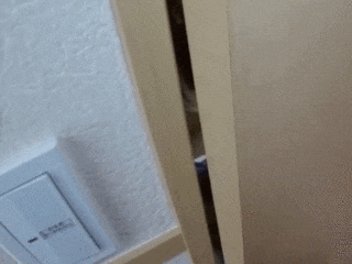 トイレのドアを開けて覗くドッキリGIF画像 