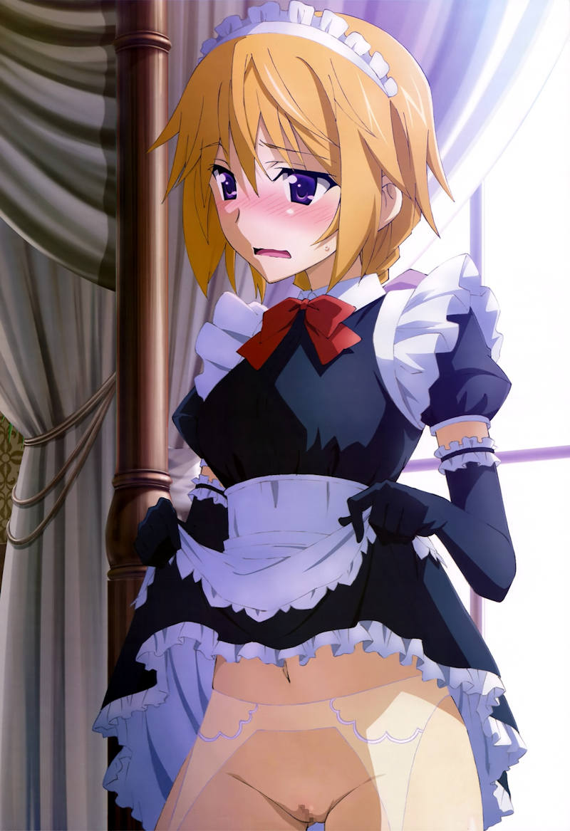 ノーパン 二次元エロ画像 【73】