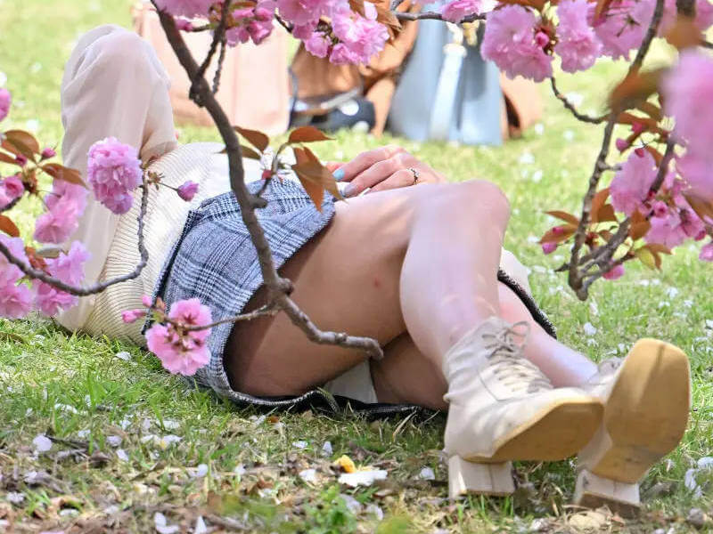 見頃のお花見パンチラエロ画像