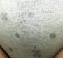 ハミ毛 接写 パンツ エロ画像